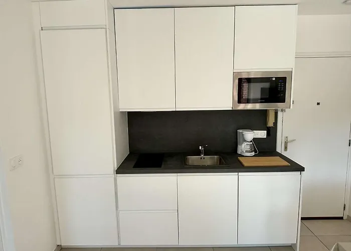 Appartement 2 Pieces 4 Couchages Argeles Sur Ar870-002 Perpignan