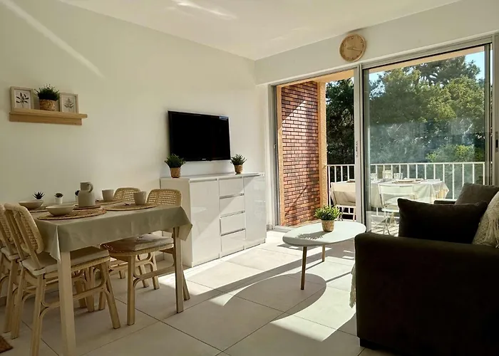 2 Pieces 4 Couchages Argeles Sur Ar870-002 Appartement *